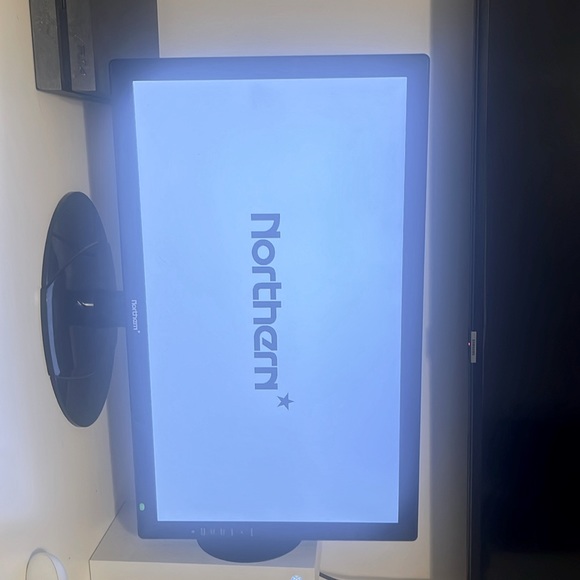 Northern monitor - Picture 1 of 1